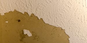 stucco fixed